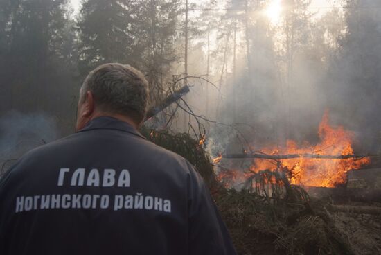 Владимир Лаптев на тушении лесного пожара в Ногинском районе