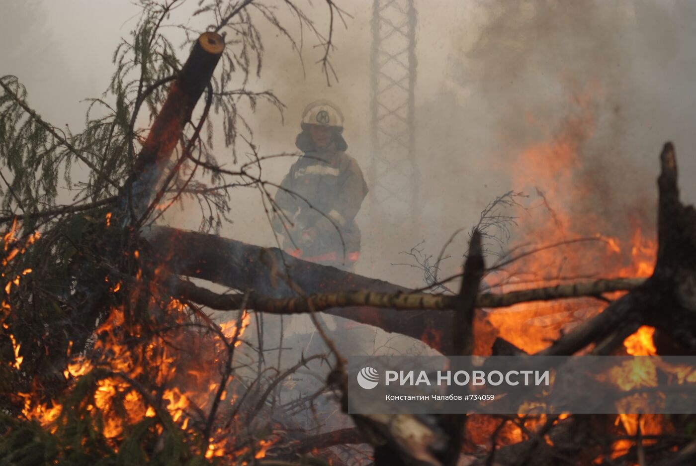 Тушение лесного пожара в Ногинском районе Подмосковья