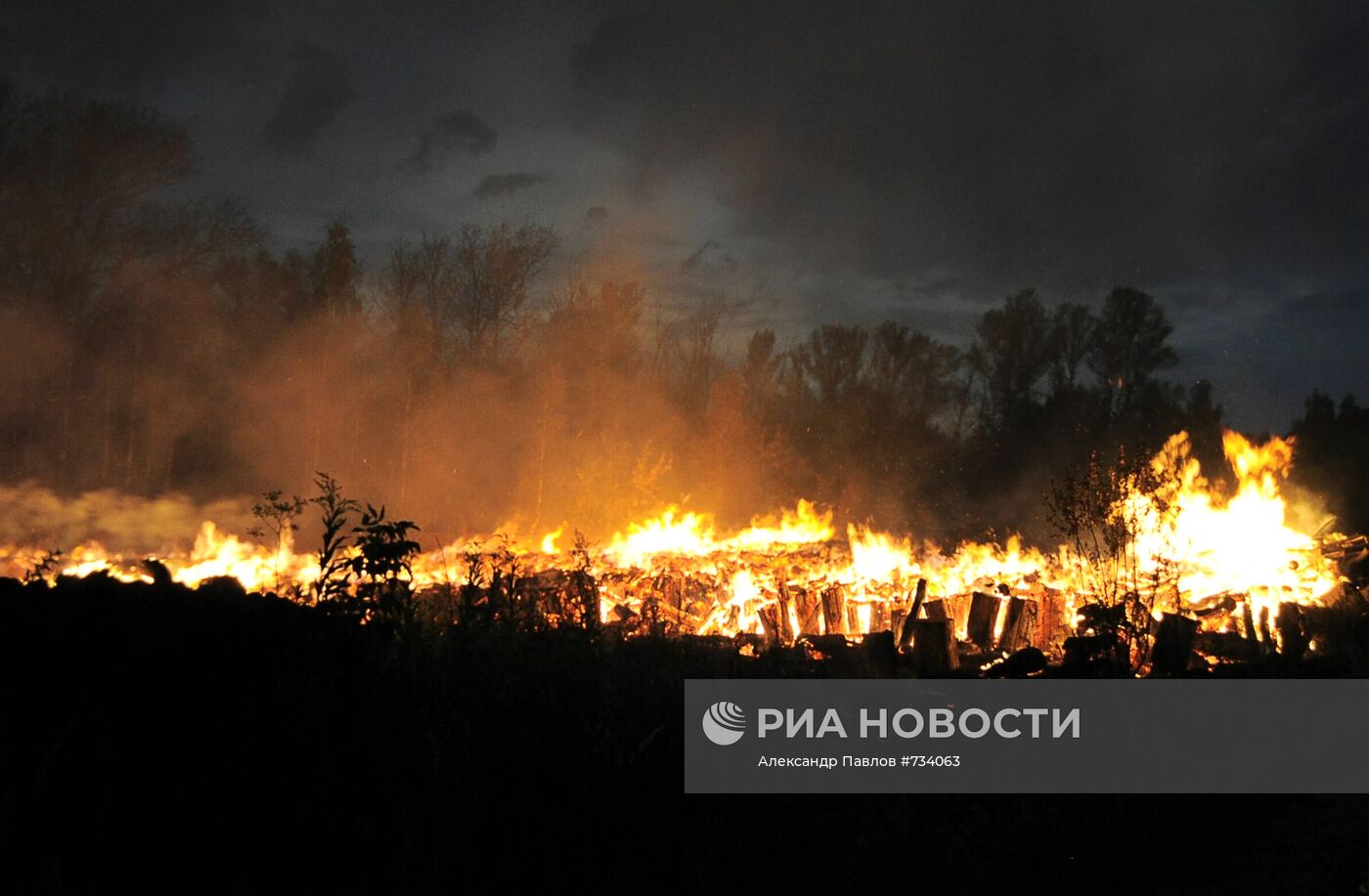 Пожар на территории лесопарка Лосиный остров