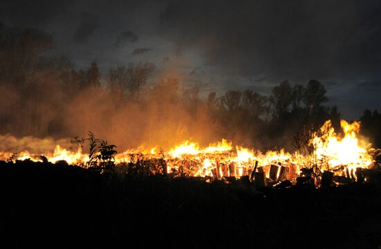 Пожар на территории лесопарка Лосиный остров