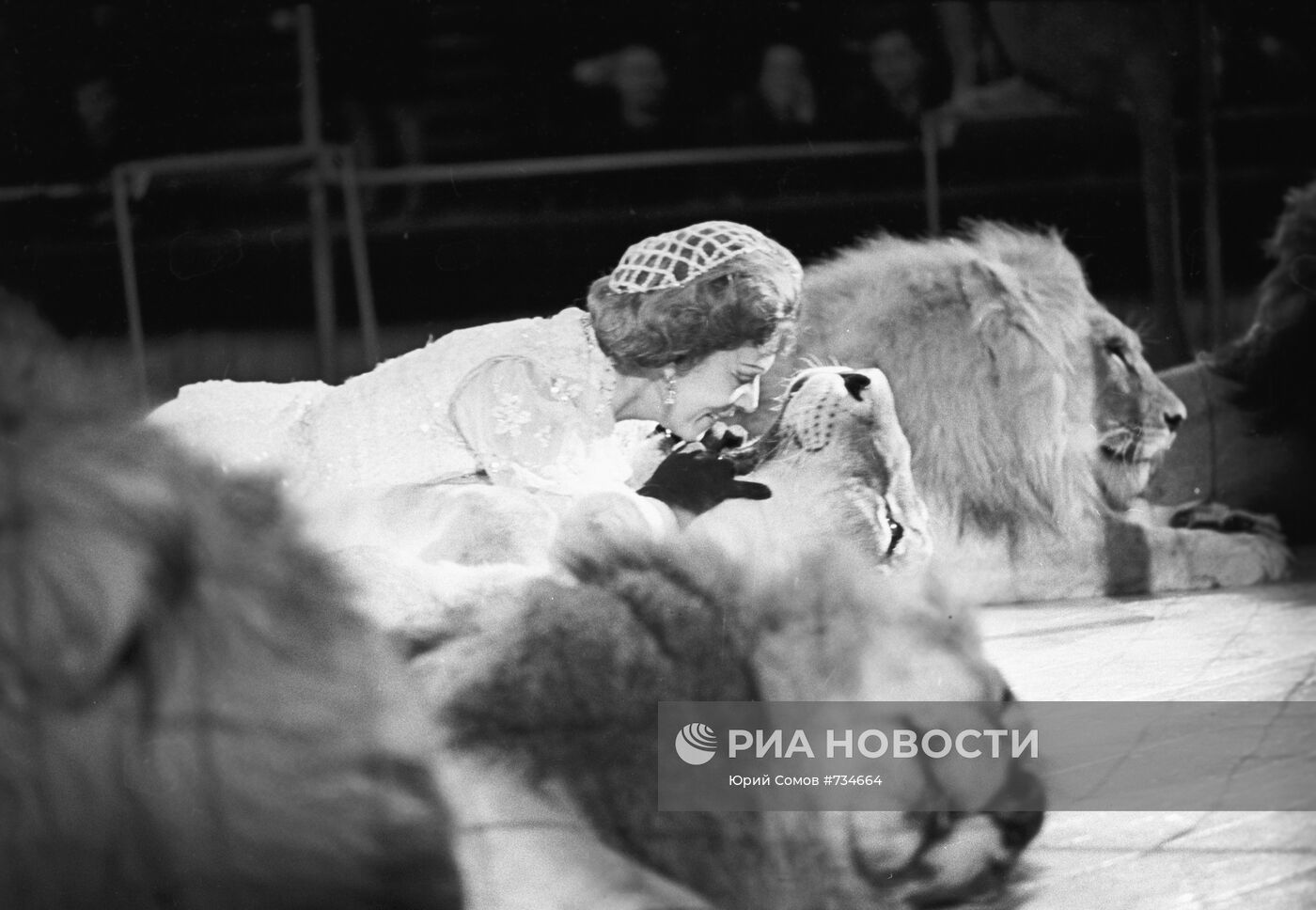 Дрессировщица львов Ирина Бугримова