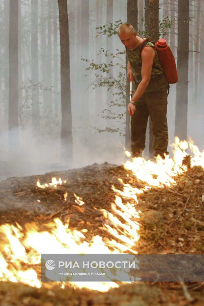 Тушение низового пожара в лесах Нижегородской области