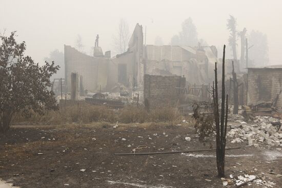 Сгоревшие дома в поселке Борковка Нижегородской области