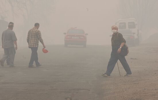Поселок Борковка окутан дымом и смогом