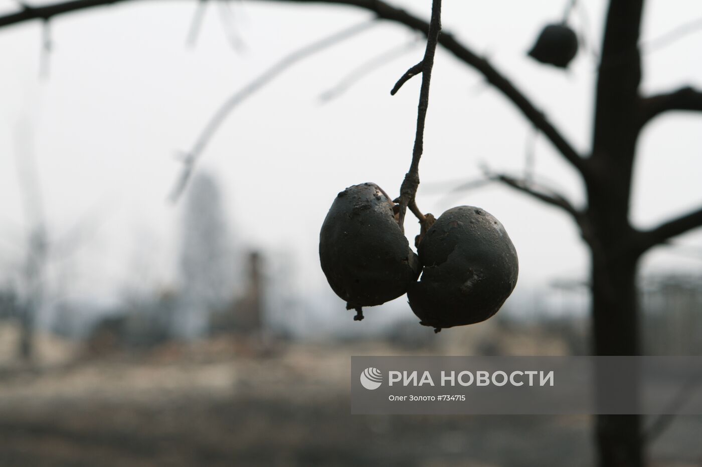 Последствия природных пожаров в Нижегородской области