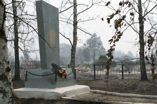 Последствия природных пожаров в Нижегородской области