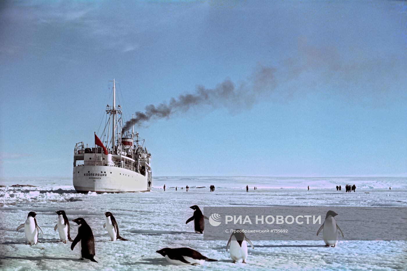 Теплоход "Кооперация" у берегов Антарктиды