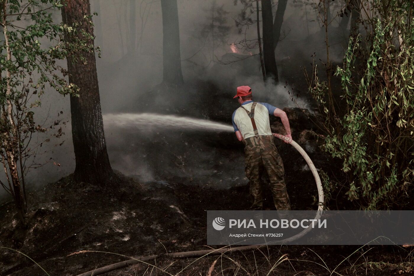 Лесные пожары в Рязанской области