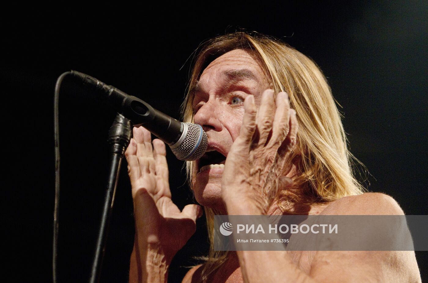 Концерт американского певца Игги Попа и его группы The Stooges
