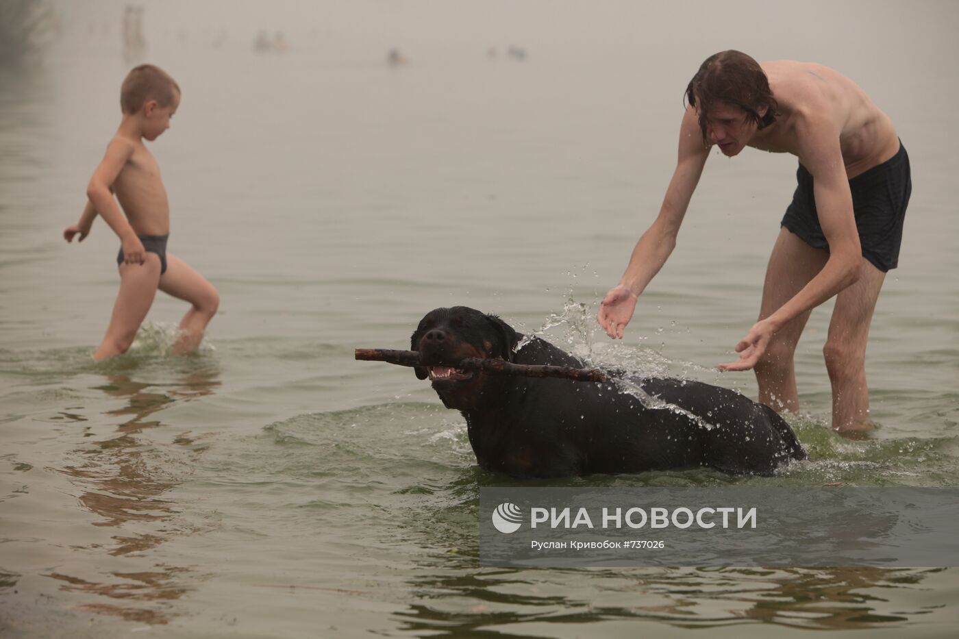 Мужчина купает собаку в Строгинской пойме