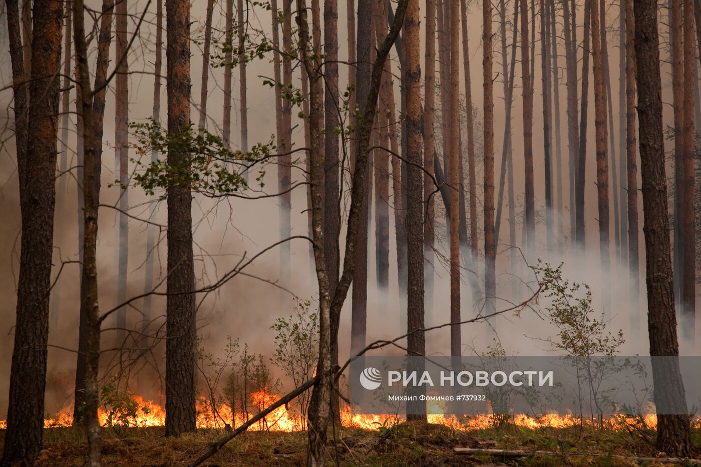 Природные пожары в Рязанской области