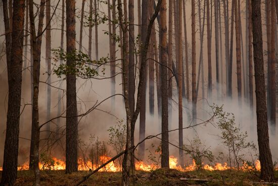Природные пожары в Рязанской области