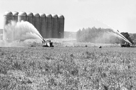 Животноводческий комплекс "Щапово"