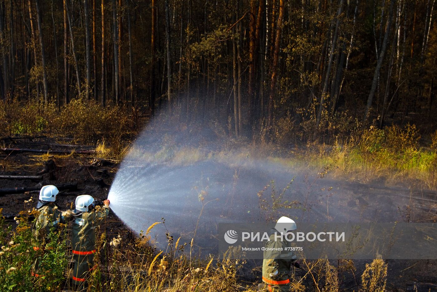 Тушение лесных пожаров в Московской области