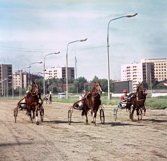 Тренировка рысаков в качалке