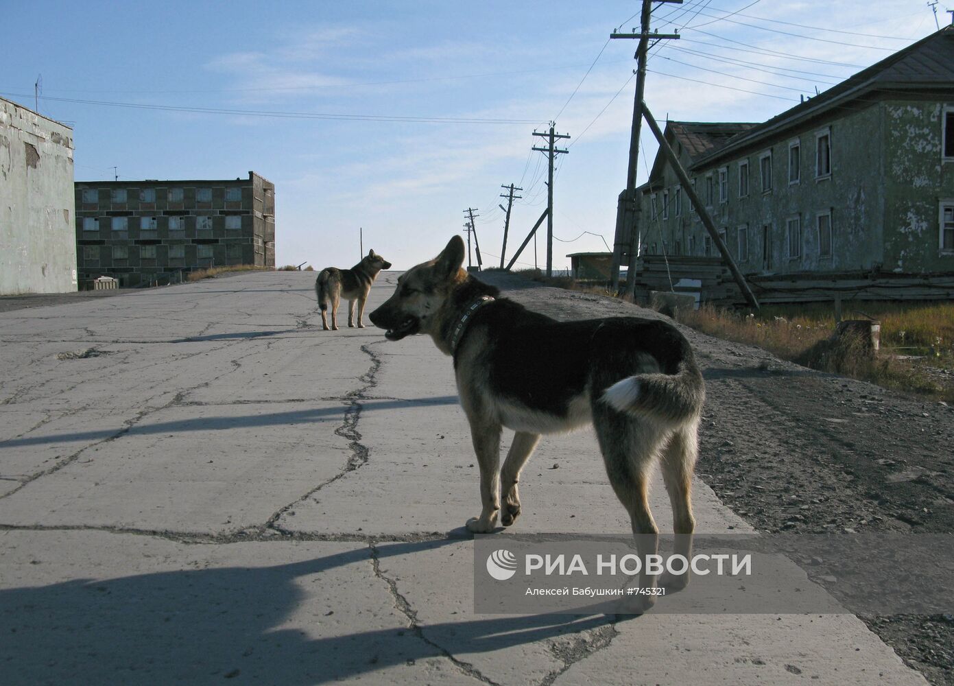 Виды Тикси