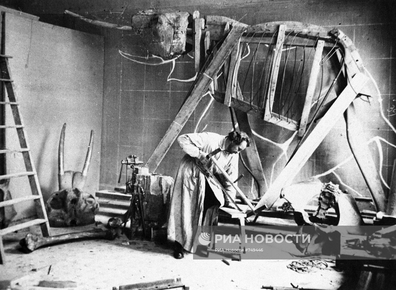 Процесс изготовления чучел - будущих экспонатов музея