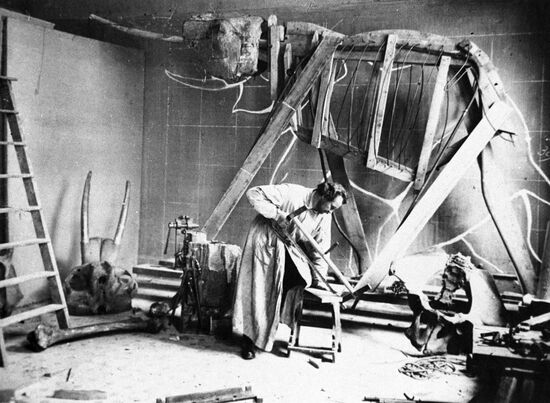 Процесс изготовления чучел - будущих экспонатов музея