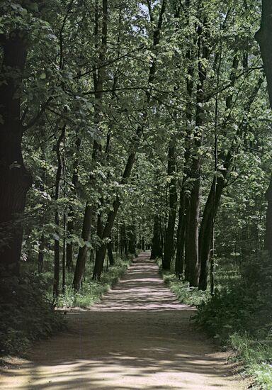 Музей-усадьба "Горки"