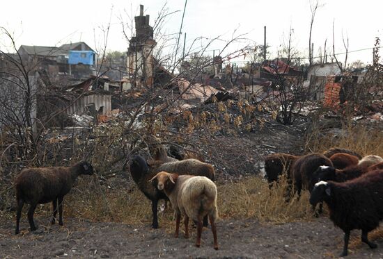 Сгоревшее село в Волгоградской области