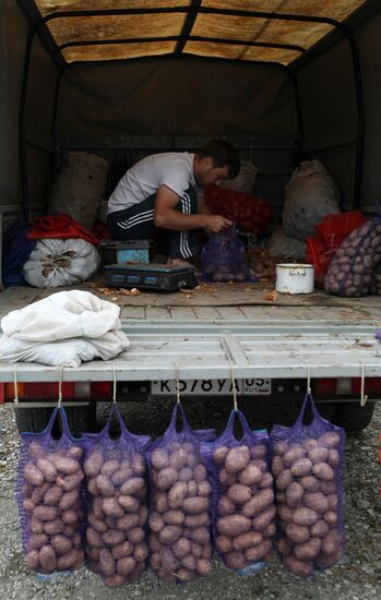 Продажа картофеля на Грозненском рынке