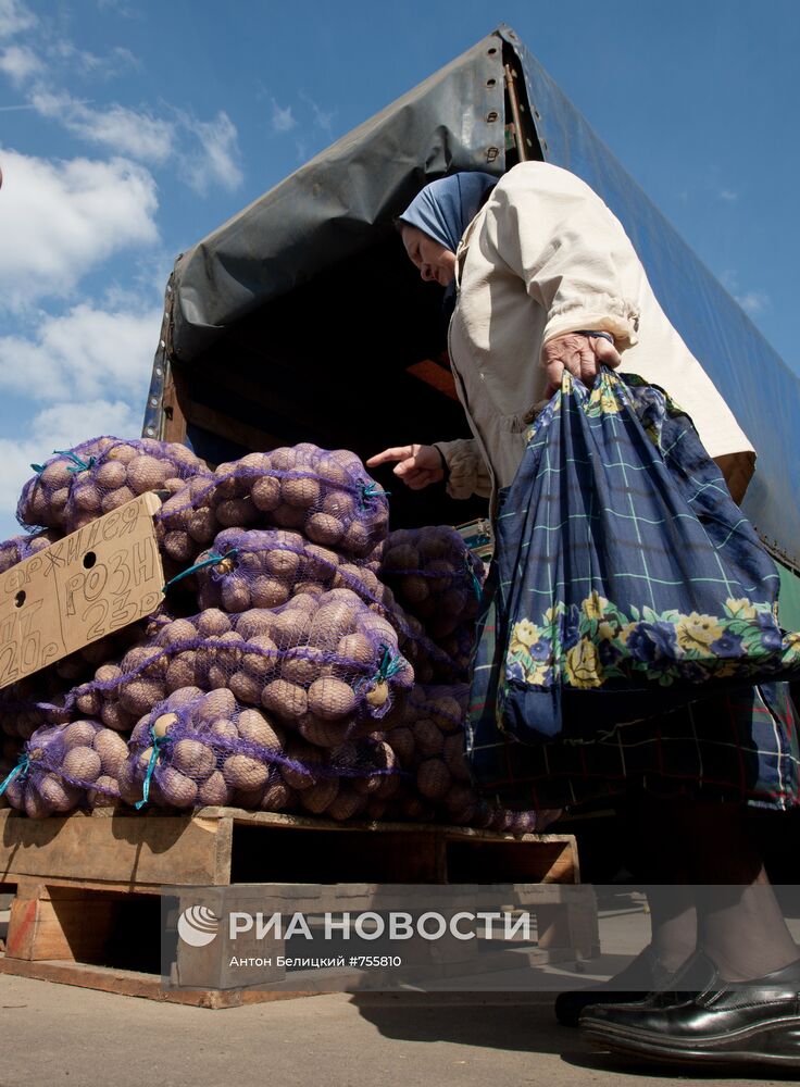 Продажа картофеля на рынке в Москве
