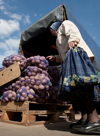 Продажа картофеля на рынке в Москве