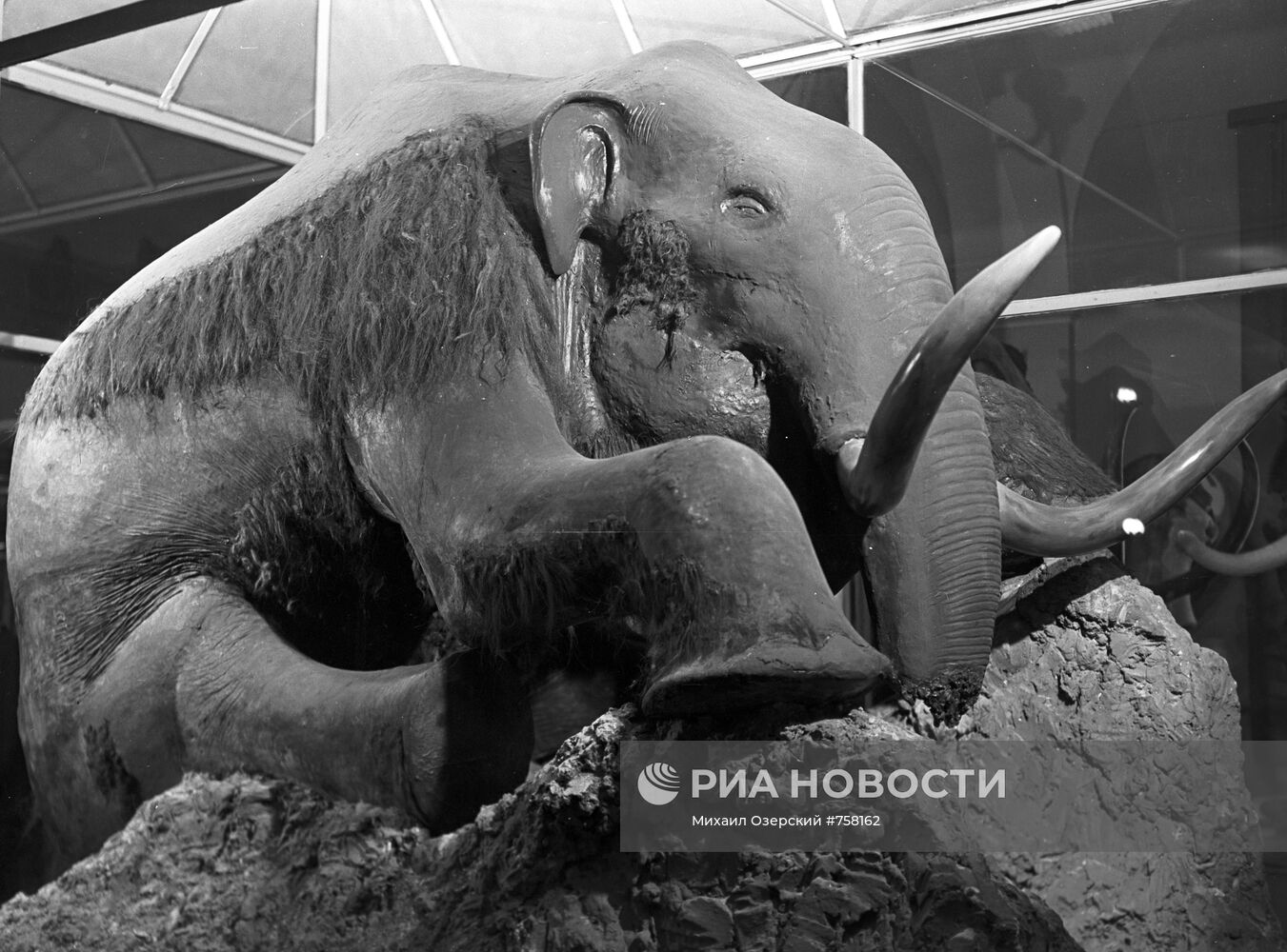 Чучело мамонта