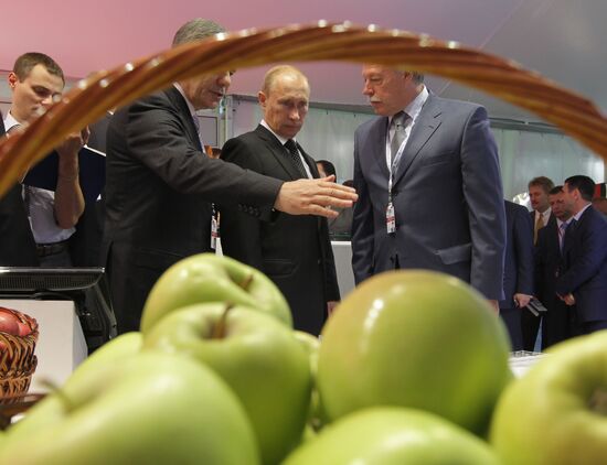 В. Путин на IX Международном инвестиционном форуме "Сочи-2010"