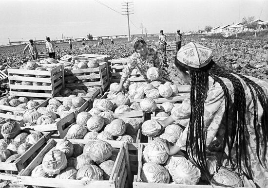 Работницы совхоза имени Ахунбабаева