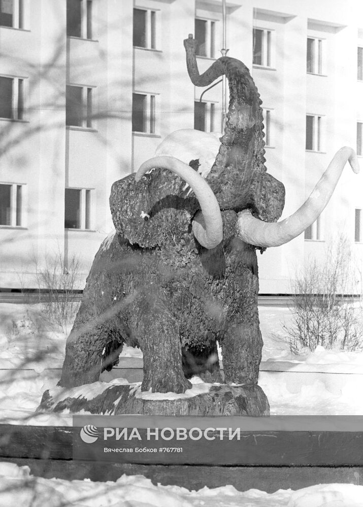 Мамонтенок