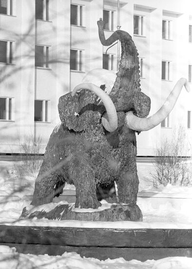 Мамонтенок