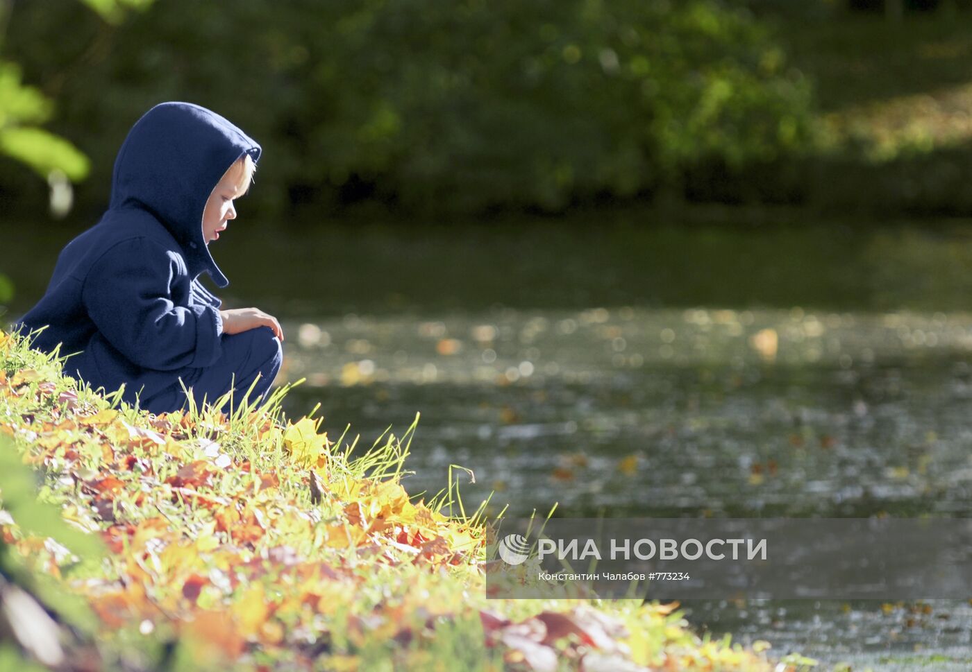 Золотая осень