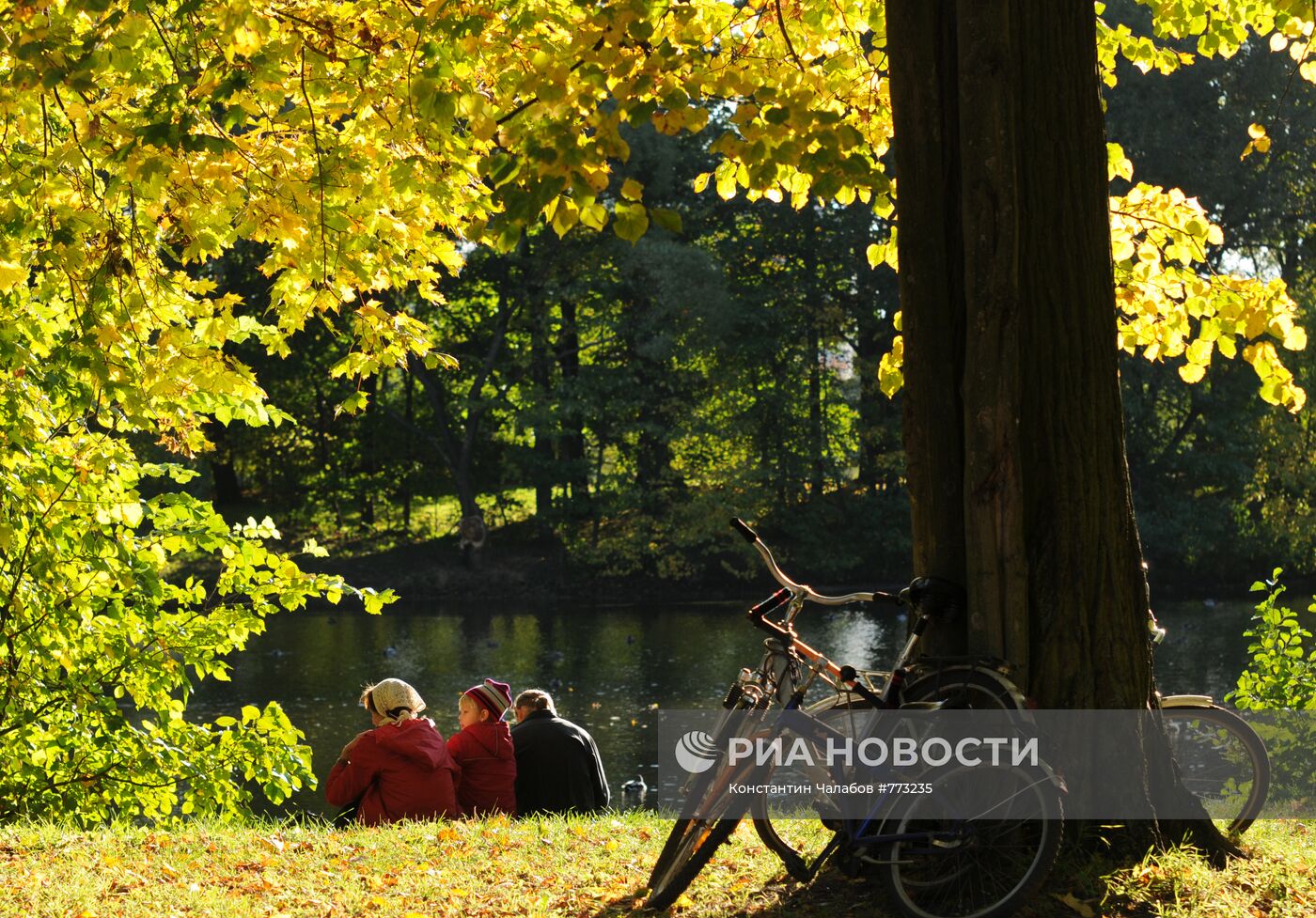 Золотая осень