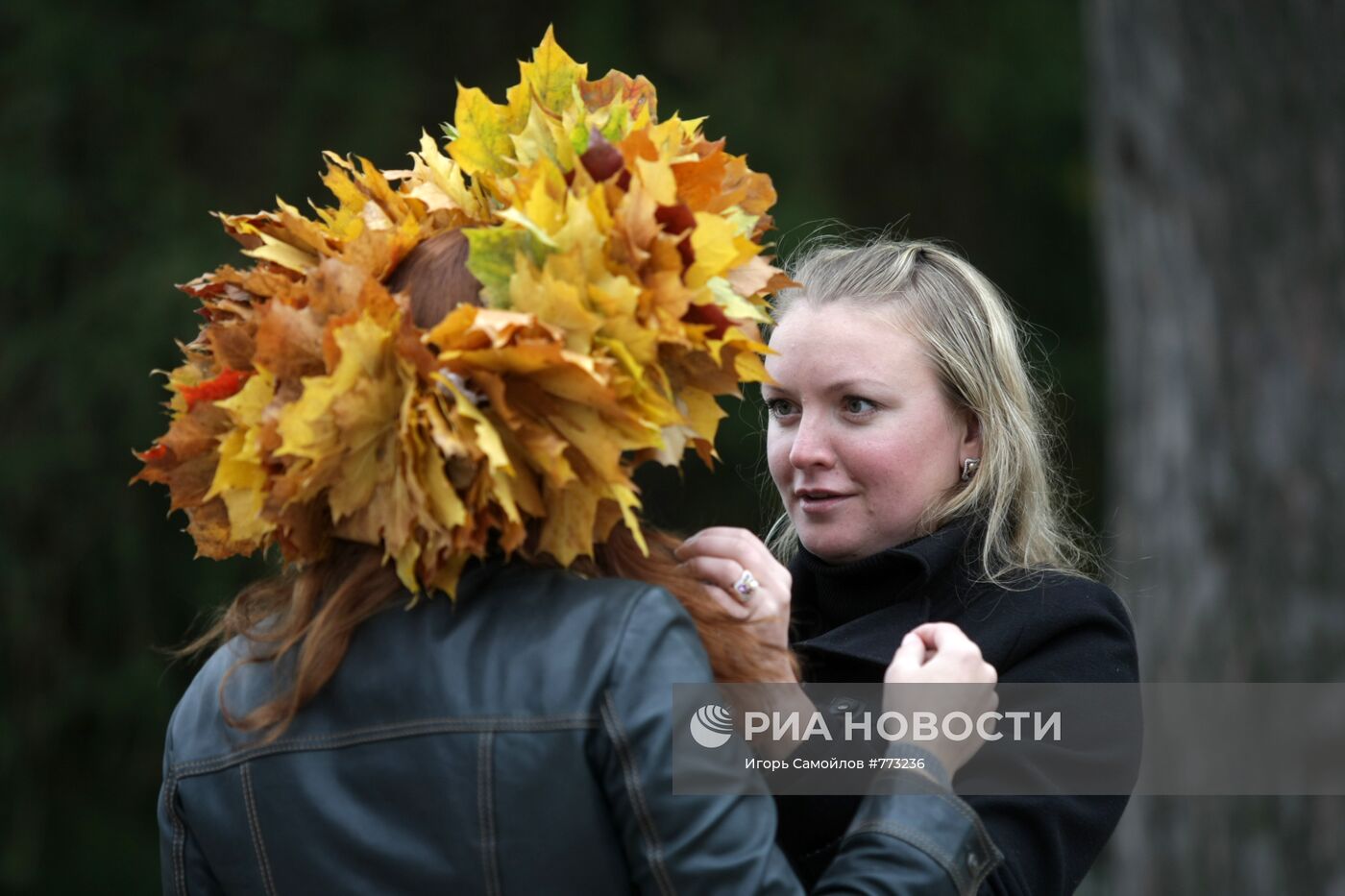 Золотая осень