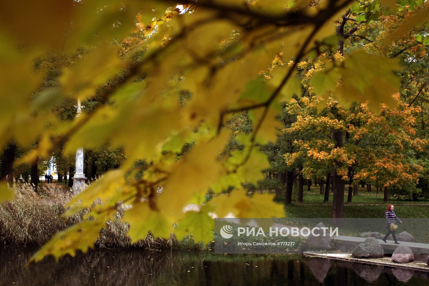 Золотая осень