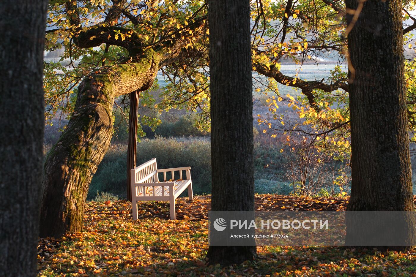 "Скамья Онегина"