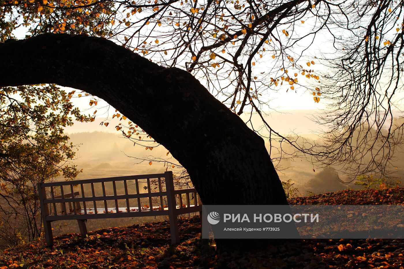 "Скамья Онегина"