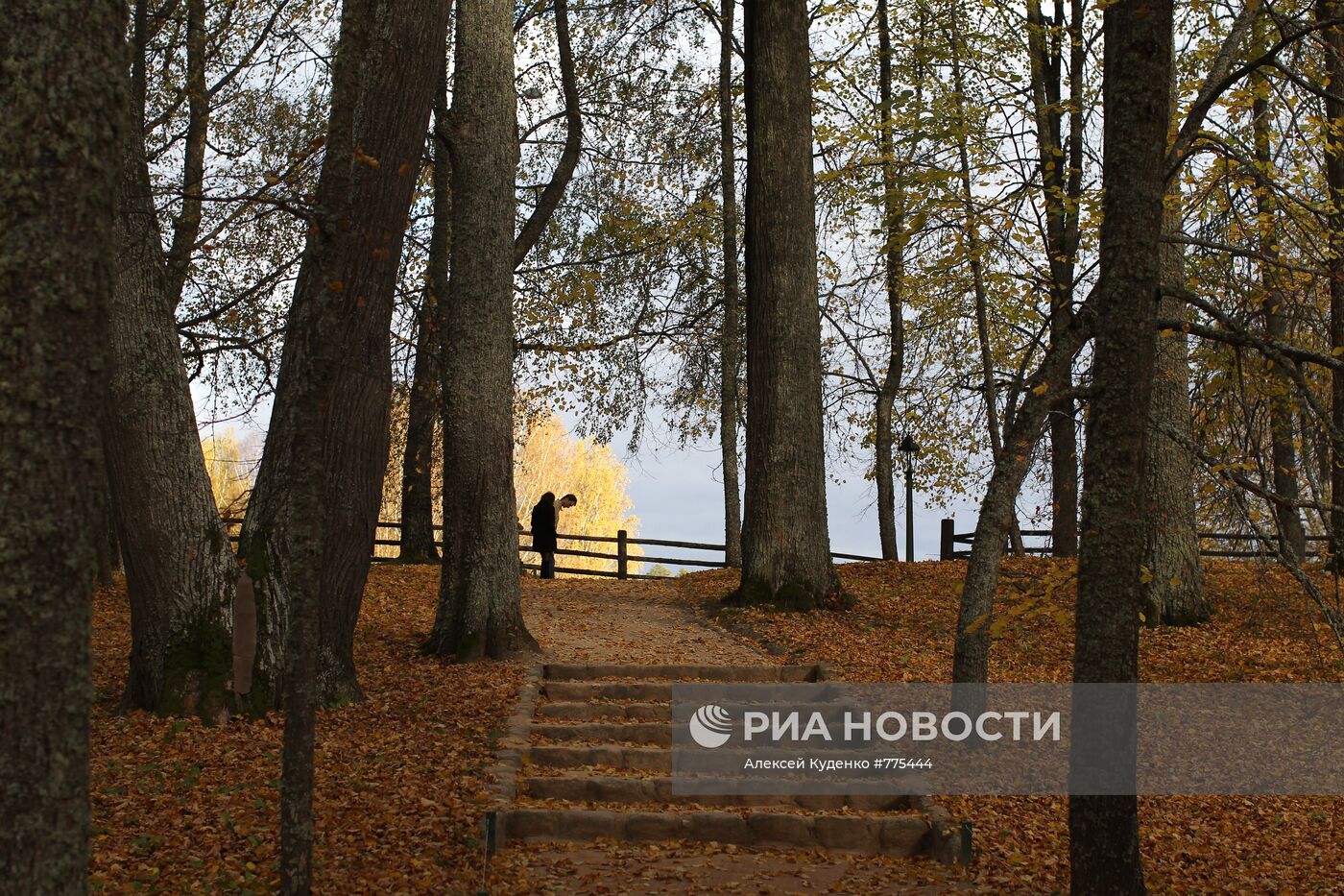 Золотая осень