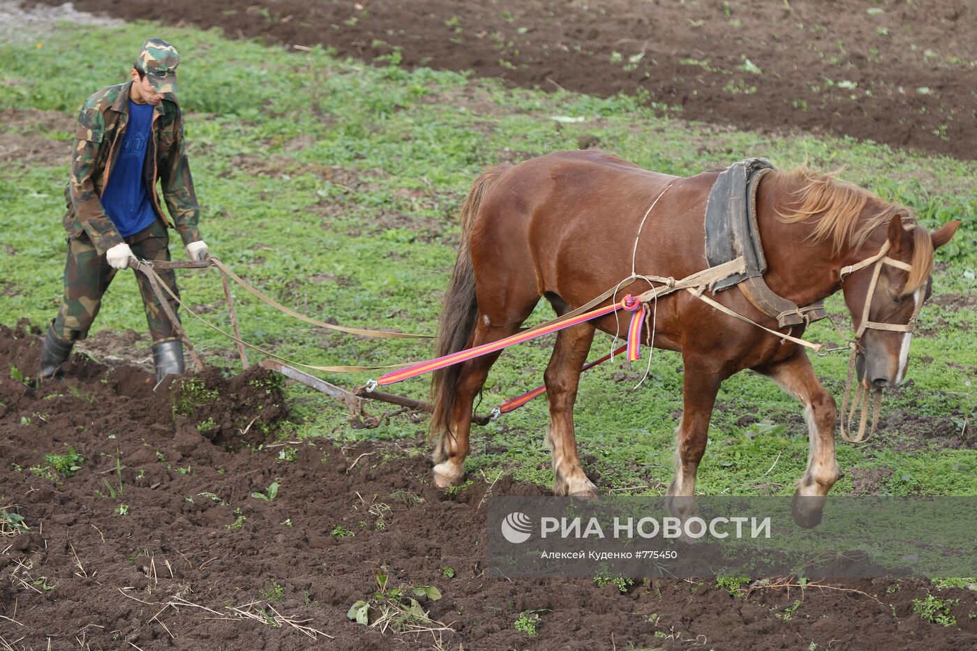 Сельский житель