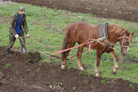 Сельский житель
