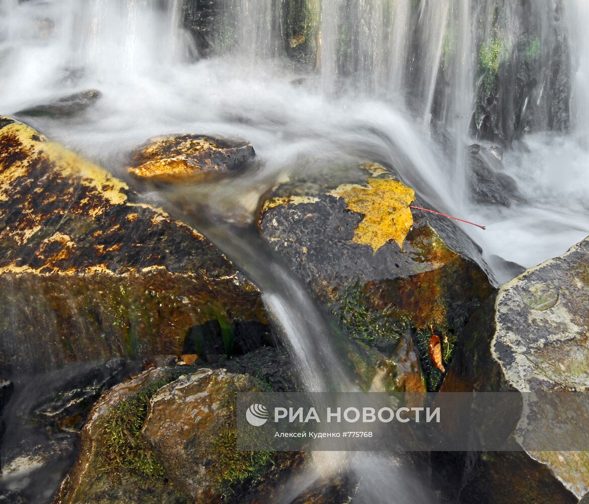Золотая осень