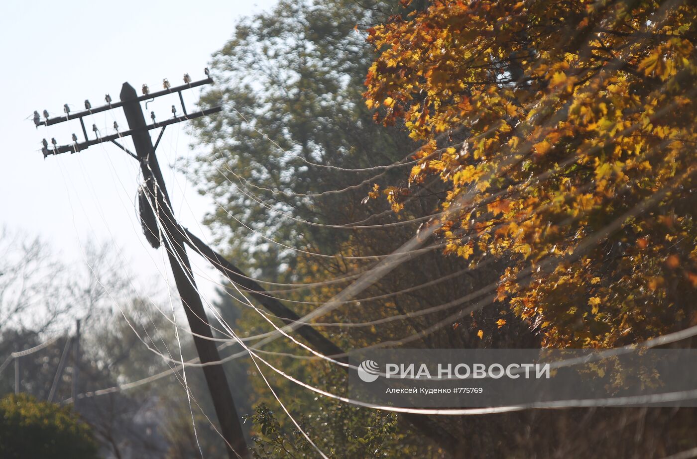 Золотая осень