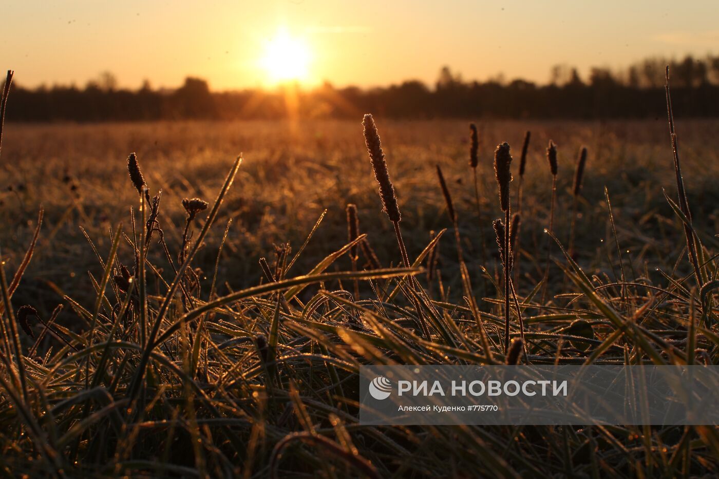 Золотая осень