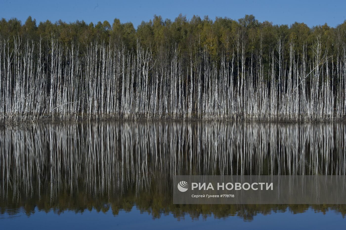 Золотая осень