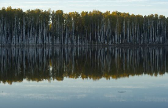 Золотая осень