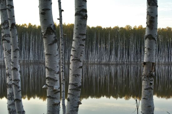 Золотая осень