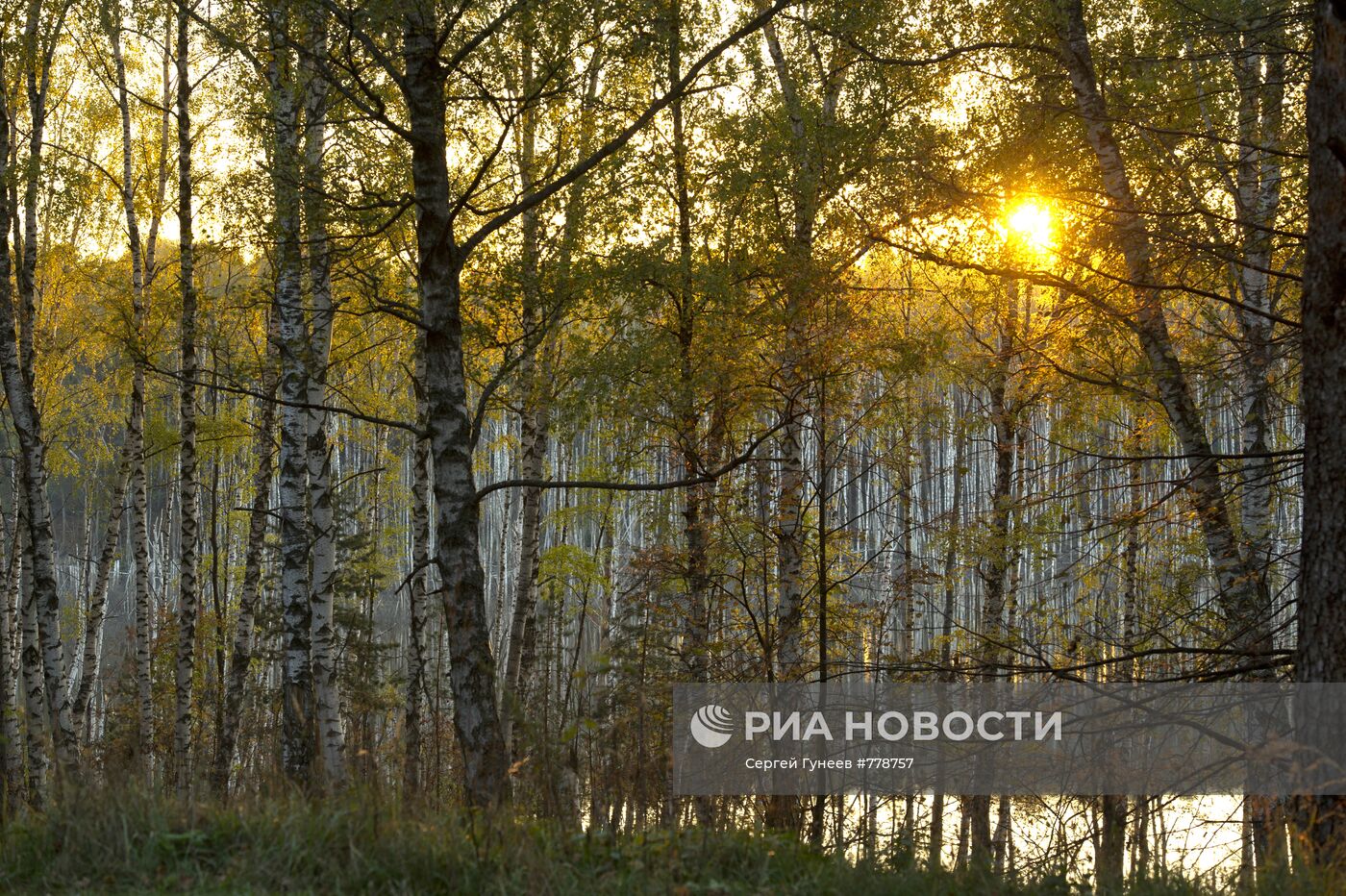 Золотая осень