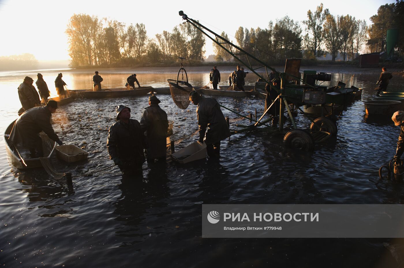 Отлов традиционного рождественского карпа