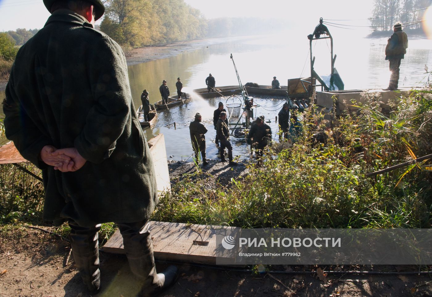 Отлов традиционного рождественского карпа